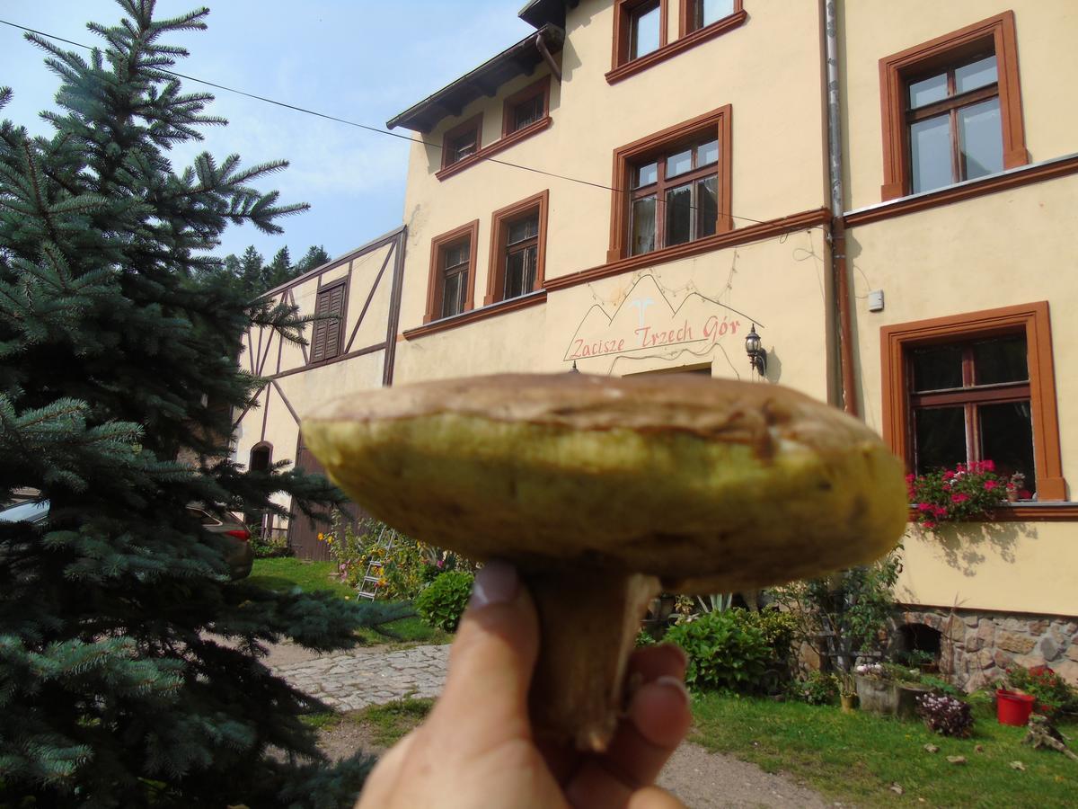 Villa Zacisze Trzech Gor Jedlina-Zdroj Exterior foto